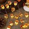 Thanksgiving Décor 3D Acorn Decorations Autumn Décor String Lights, Acorn Fall Harvest Decorative Lights 10ft 30LED USB Plug-in Battery Operated for Bedroom Garland Fireplace Mantel Wreath Decor (ACORN-USB)